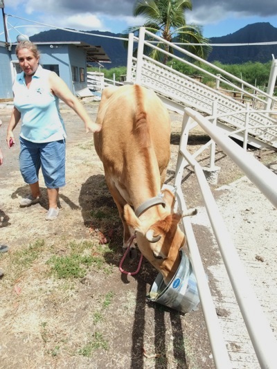 Naked Cow Dairy