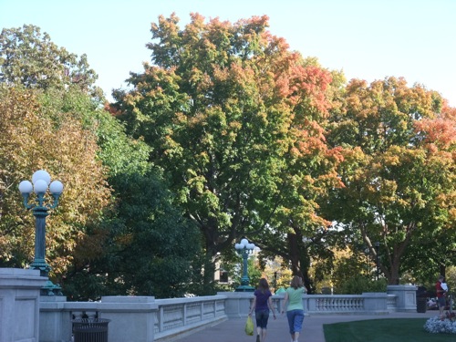 Fall in Wisconsin