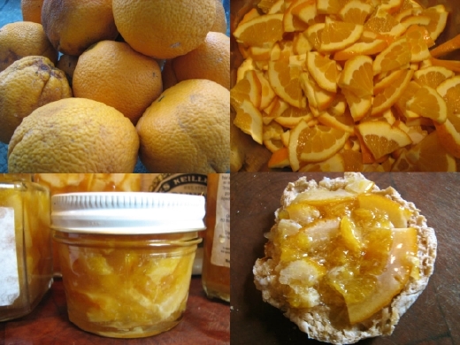 Bitter Orange Marmalade