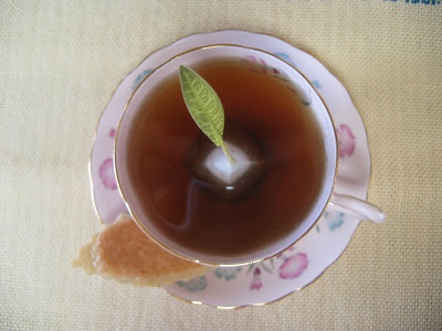 Tea and cookies