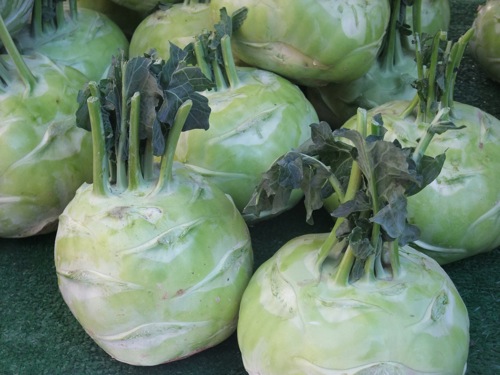 Kohlrabi